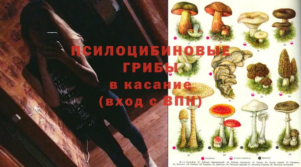 ПСИЛОЦИБИНОВЫЕ ГРИБЫ Краснотурьинск