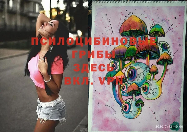 ПСИЛОЦИБИНОВЫЕ ГРИБЫ Краснотурьинск