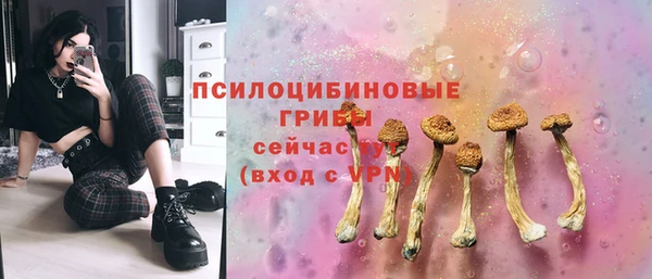 а пвп мука Краснослободск